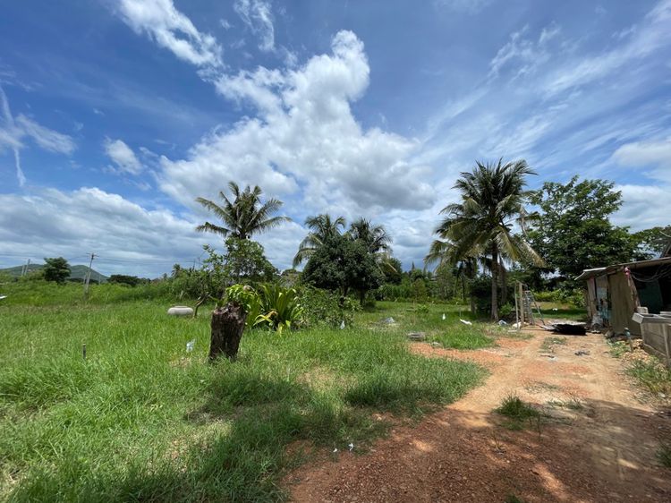 ขายที่ดินติดถนนหลวง 3510 แก่งกระจาน-หนองหญ้าปล้อง รูปที่ 3