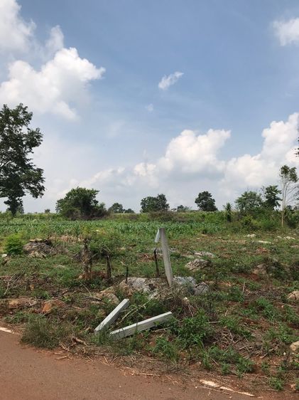 ที่ดินเปล่าปากช่อง รูปที่ 3