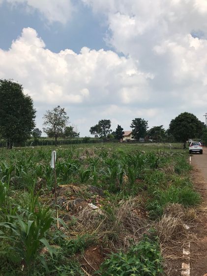 ที่ดินเปล่าปากช่อง รูปที่ 4