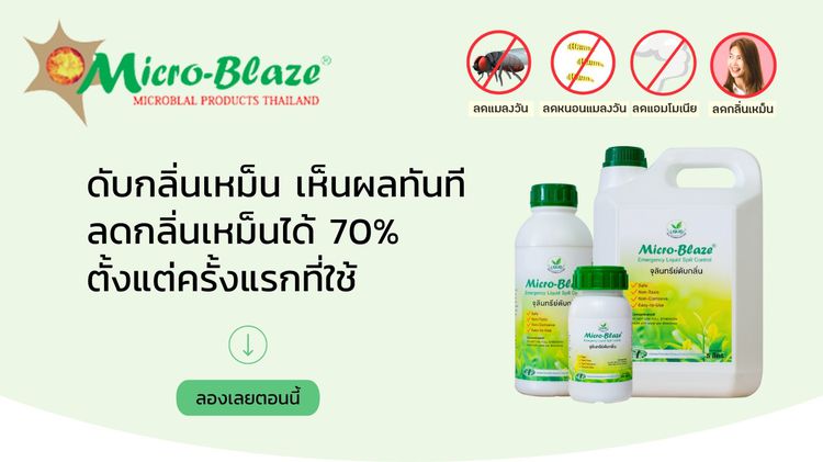 Micro-Blaze จุลินทรีย์สำหรับกำจัดกลิ่นเหม็น ช่วยย่อยสลายสิ่งปฎิกูลและบำบัดน้ำเสียในโรงงานและฟาร์มปศุสัตว์ รูปที่ 2
