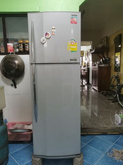 ตู้เย็น 2 ประตู ตู้เย็น Toshiba