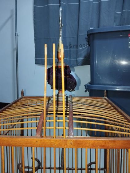 กรงนกหัวจุกทรงโดม รูปที่ 5