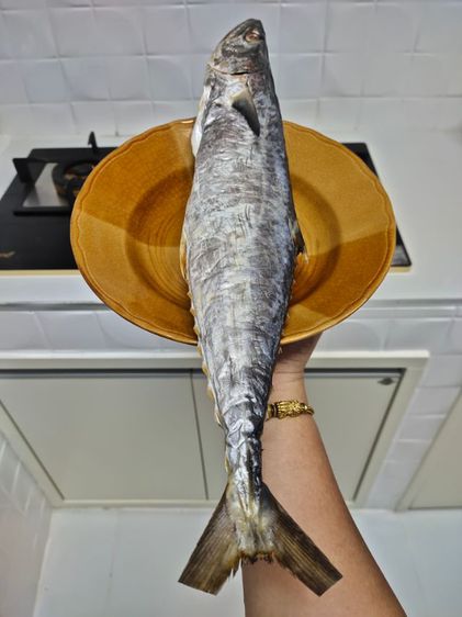 ปลาอินทรีย์เค็มหอมแท้จากทะเลใต้ ระนอง รับประกันความอร่อย สดใหม่ รูปที่ 3