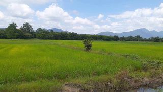 ที่ดินเปล่าสวย