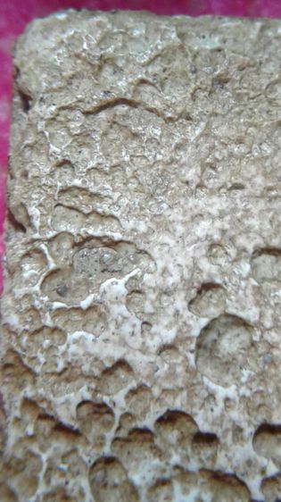 พระสมเด็จวัดระฆัง รูปที่ 13