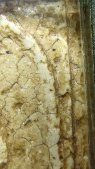 พระสมเด็จวัดระฆัง  รูปที่ 15