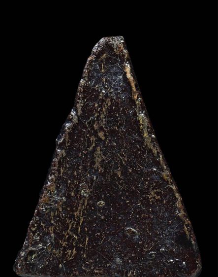 นางพญา รูปที่ 2