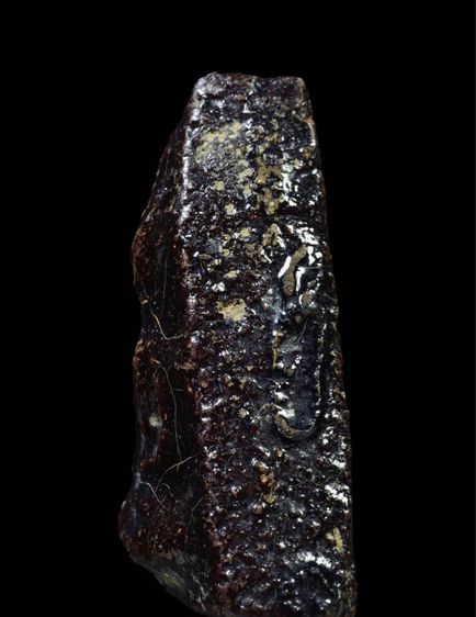 นางพญา รูปที่ 3