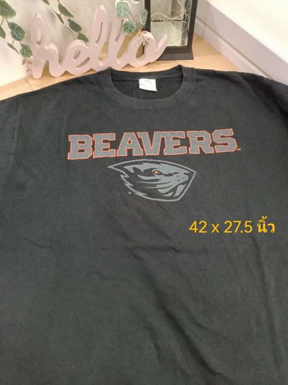 เสื้อยืดมือสอง รูปที่ 6