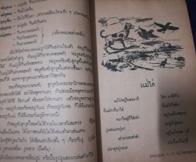 หนังสือภาษาไทยป3 รูปที่ 11