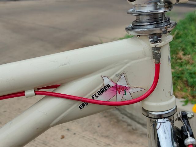 จักรยาน BMX East Flower  รูปที่ 3