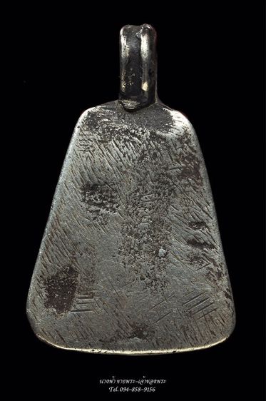 จอบใหญ่เนื้อเงิน รูปที่ 2