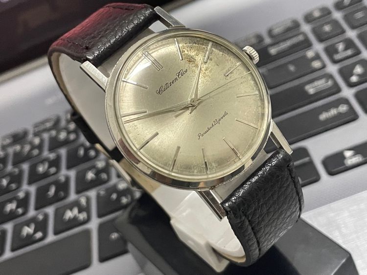 Citizen Cice รูปที่ 6