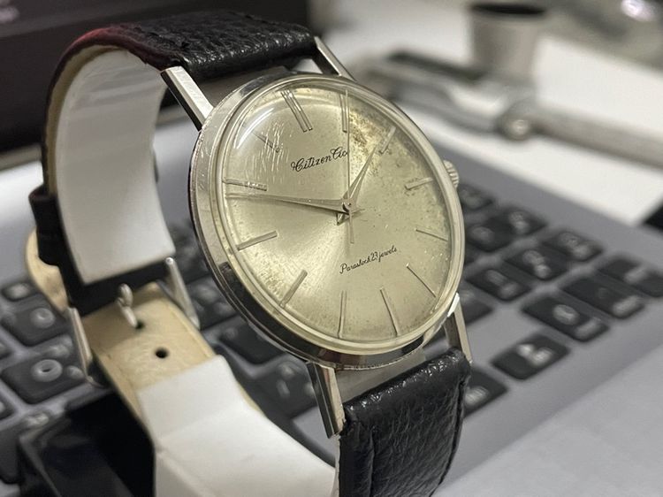 Citizen Cice รูปที่ 4