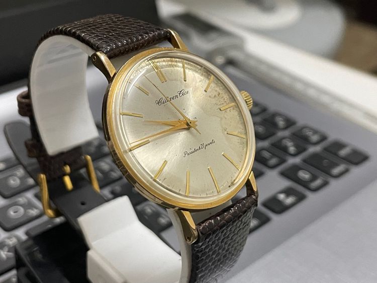 Citizen Cice รูปที่ 5