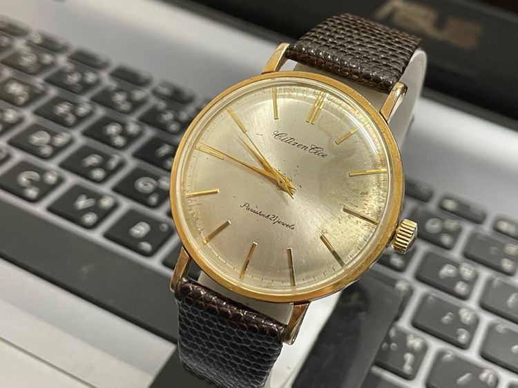 Citizen Cice รูปที่ 3