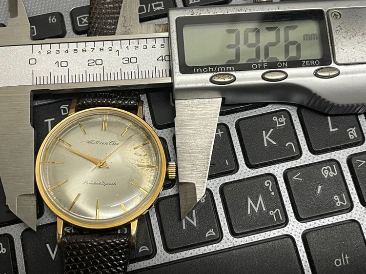 Citizen Cice รูปที่ 10