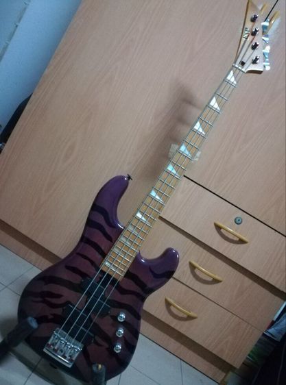 Bass ESP รูปที่ 6