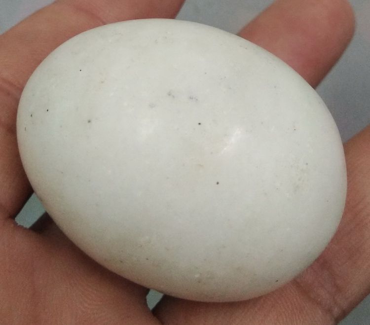 6292-หินรูปไข่ สีนวลขาวเนื้อหินครับ มีฤทธิ์เย็นใช้บำบัดโรคได้ครับ ขนาดกว้าง 3.5 ซม. ยาวรวมประมาณ 4.5 ซม รูปที่ 13