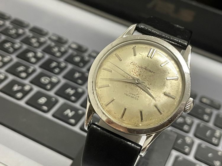 Citizen Homer รูปที่ 3