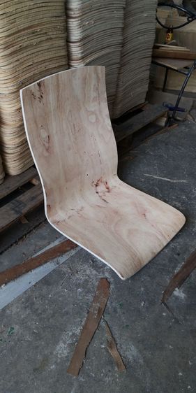 ไม้อัดดัดโค้ง ไม้อัดแผ่นโค้ง ไม้อัดเก้าอี้ ไม้วีเนียร์ รูปที่ 5