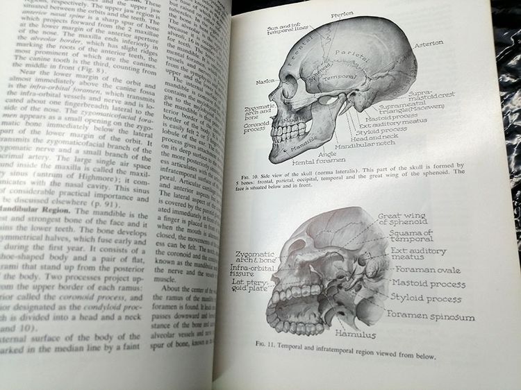 หนังสือ ANATOMY IN SURGERY (กายภาคศาสตร์ในการผ่าตัด)โดย PHILIP THOREK ปีค.ศ. 1962 รูปที่ 6