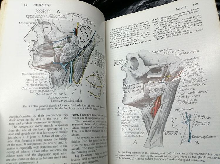 หนังสือ ANATOMY IN SURGERY (กายภาคศาสตร์ในการผ่าตัด)โดย PHILIP THOREK ปีค.ศ. 1962 รูปที่ 7