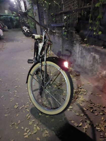 schwinn  รูปที่ 5