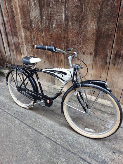 schwinn  รูปที่ 3