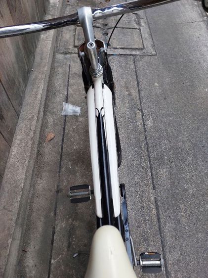schwinn  รูปที่ 2