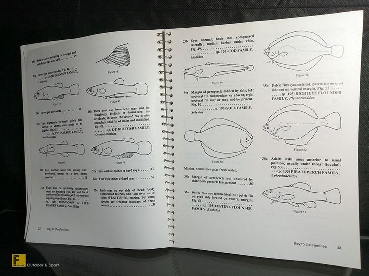 หนังสือ How to Know the Freshwater Fishes ปีค.ศ. 1978 รวมปลาน้ำจืดโซนอเมริกา  หนังสือปลา รูปที่ 5