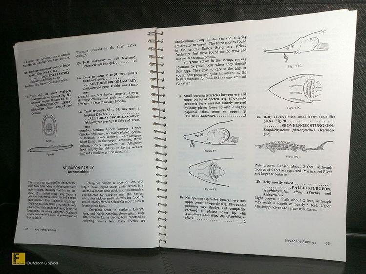 หนังสือ How to Know the Freshwater Fishes ปีค.ศ. 1978 รวมปลาน้ำจืดโซนอเมริกา  หนังสือปลา รูปที่ 7