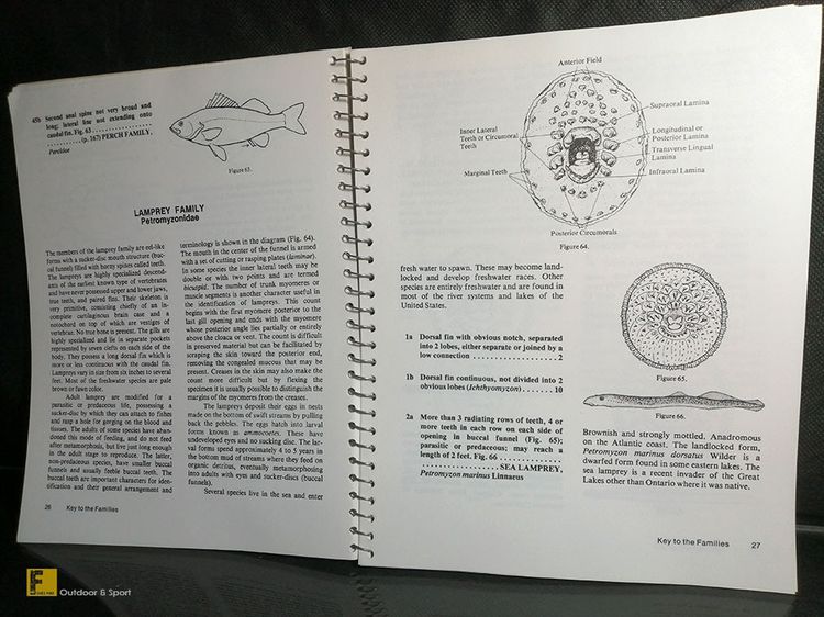 หนังสือ How to Know the Freshwater Fishes ปีค.ศ. 1978 รวมปลาน้ำจืดโซนอเมริกา  หนังสือปลา รูปที่ 6