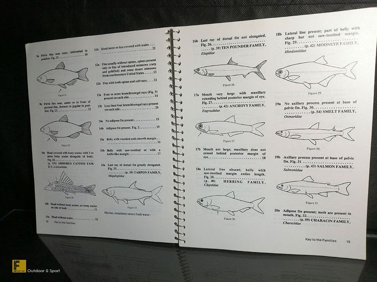 หนังสือ How to Know the Freshwater Fishes ปีค.ศ. 1978 รวมปลาน้ำจืดโซนอเมริกา  หนังสือปลา รูปที่ 4