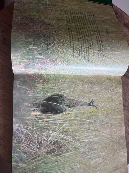 หนังสือสารคดีเก่า รูปที่ 7