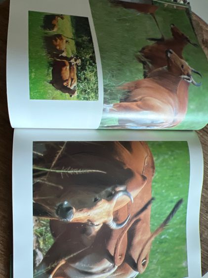 หนังสือสารคดีเก่า รูปที่ 16