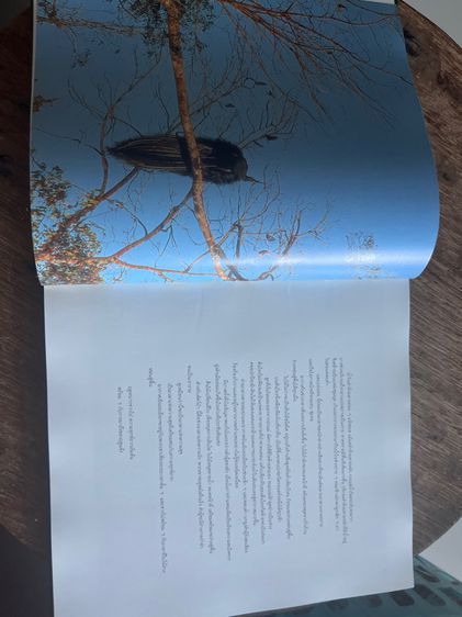 หนังสือสารคดีเก่า รูปที่ 10