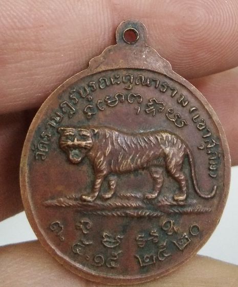 7271-เหรียญหลวงพ่อสมชาย วัดเขาสุกิม หลังเสือใหญ่ เนื้อทองแดงเก่า ปี 2520 รูปที่ 18