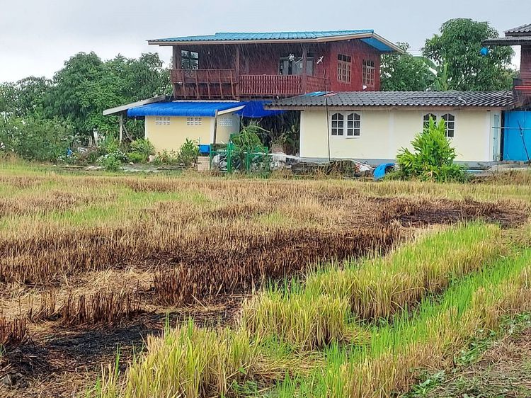 ขายที่ดินติดถนนติดคลอง ต.คูบางหลวง อ.ลาดหลุมแก้ว จ.ปทุมธานี 23 ไร่ 25 ตรว รูปที่ 4