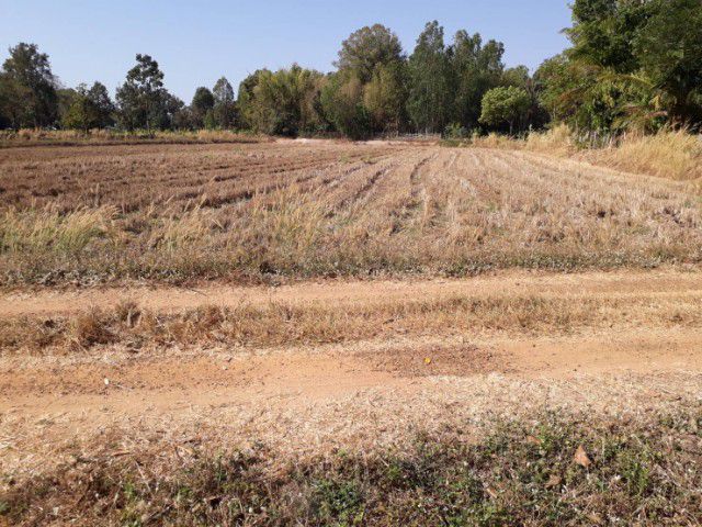 ขายที่ดินทำเลดี 3.1 ไร่