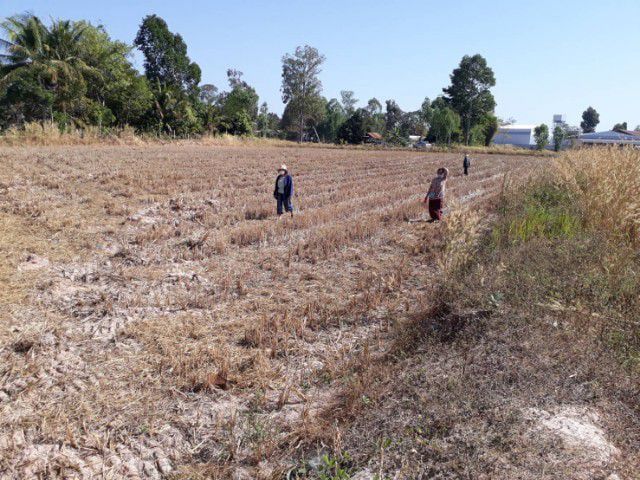 ขายที่ดินทำเลดี 3.1 ไร่ รูปที่ 2