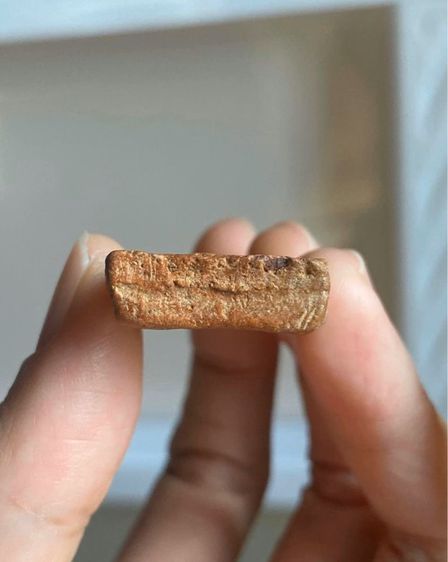 พระกำแพงซุ้มกอ รูปที่ 7