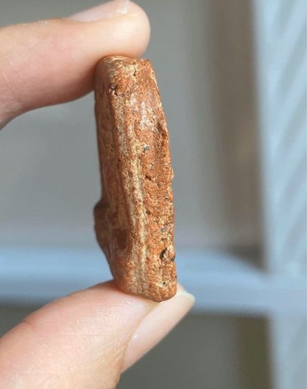 พระกำแพงซุ้มกอ รูปที่ 5