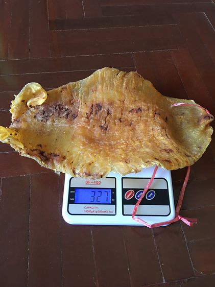 กระเพาะปลาเมี่ยนเก่าเก็บนานกว่า 40ปี รูปที่ 3