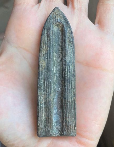 พระร่วงหลังรางปืน รูปที่ 2