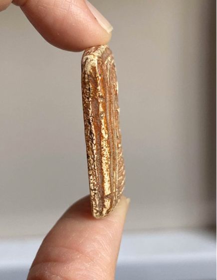 พระสมเด็จเกศไชโยพิมพ์หกชั้น รูปที่ 4