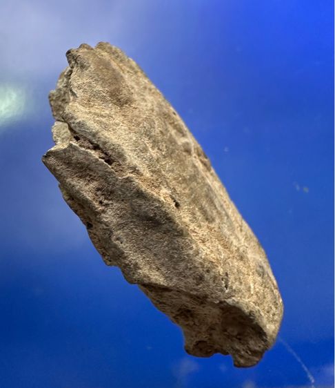 พระร่วงยืน กรุวัดมอญ (หายาก สร้างน้อย) เนื้อออกเขียวผสมผงน้ำมัน พระบิ่นเดิมจากในกรุ องค์พระ เนื้อมีความแน่นแกร่งมาก รูปที่ 3