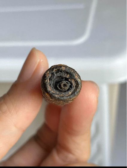 ตะกรุดหลวงปู่บุญวัดกลางบางแก้ว รูปที่ 8