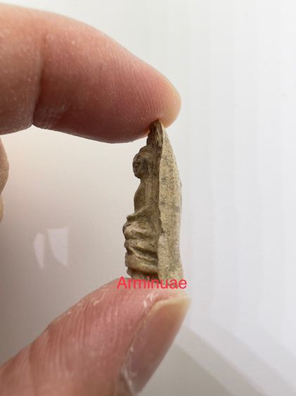 พระเก่าแก่แท้ๆ พระรอดลำพูน ไม่ทราบที่มาครับ ได้มาจากครูบาท่านนึงทางภาคเหนือครับ รูปที่ 4