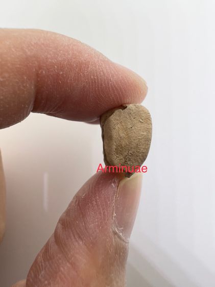 พระรอดลำพูนครับ สมบัติตกทอดจากตาก่อนเสียครับ (ขอท่านที่สนใจ และอยากได้ไว้ครอบครองจริงๆ ครับ) รูปที่ 5